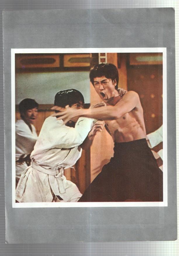Lamina Bruce Lee numerada 09