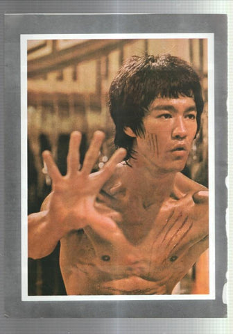 Lamina Bruce Lee numerada 09