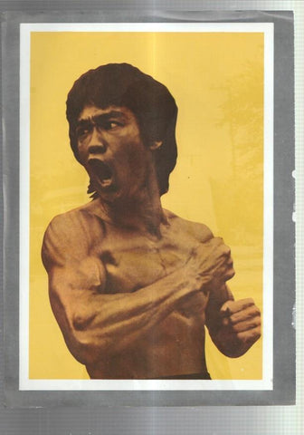 Lamina Bruce Lee numerada 12