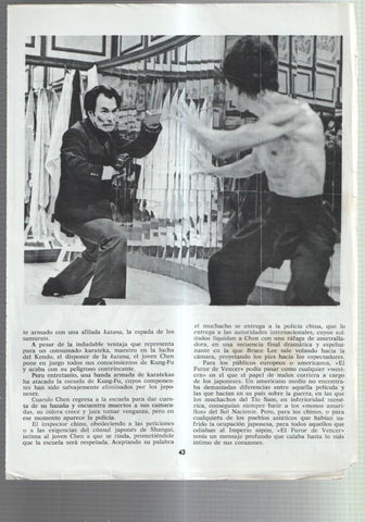 Lamina Bruce Lee numerada 14