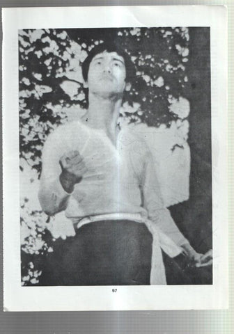 Lamina Bruce Lee numerada 18
