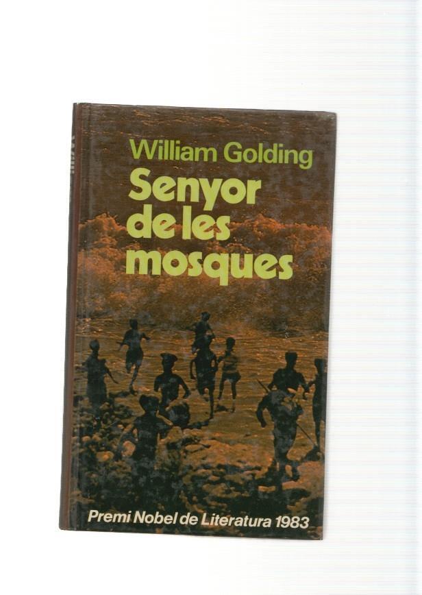 Senyor de les mosques