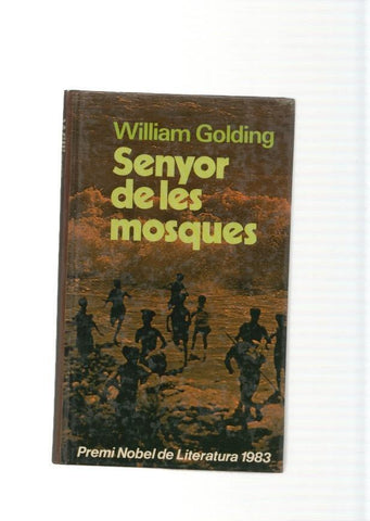 Senyor de les mosques
