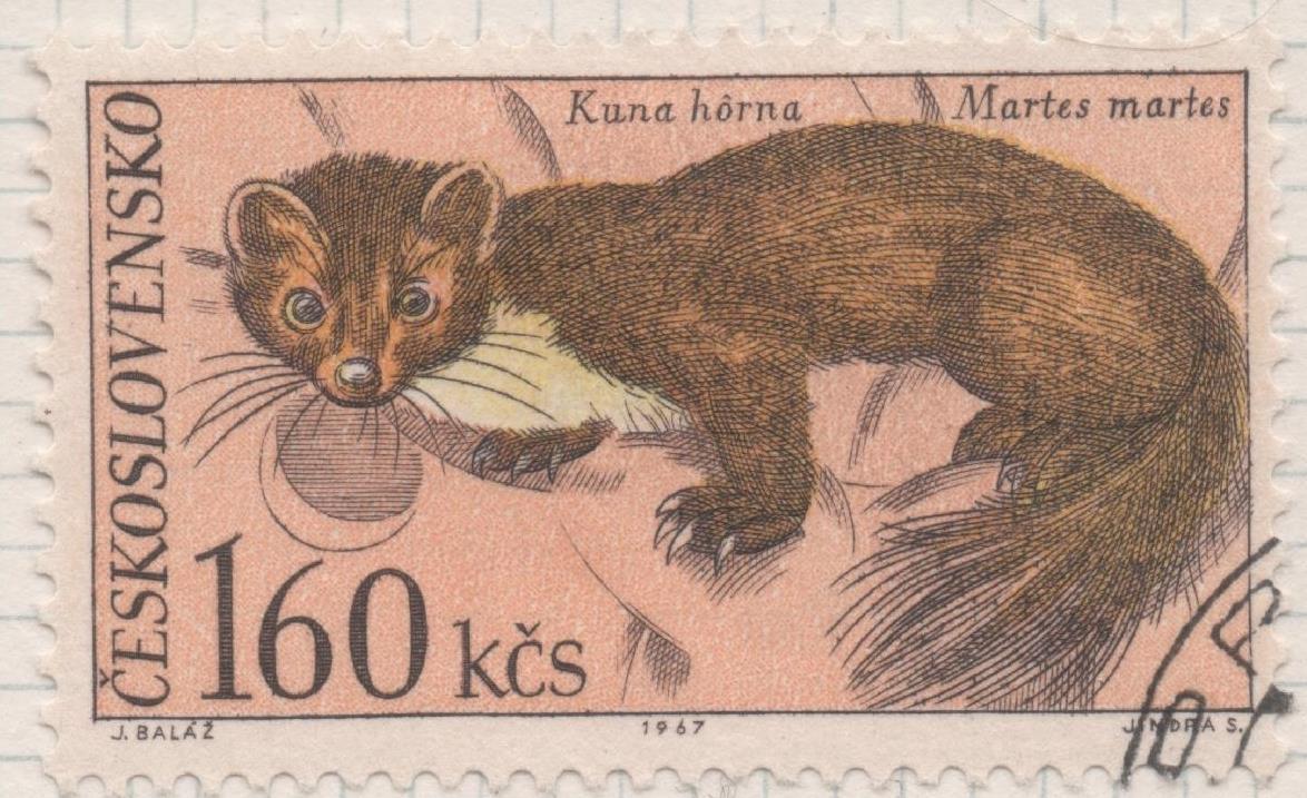 Sello E01447: hoja 92, Checoslovaquia: Sello Multicolor, dentado. Fauna del parque nacional de Tatra. Marta. Martes martes, 1,60 Koruna