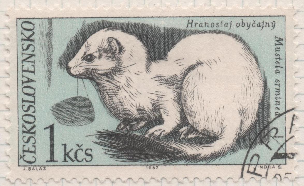 Sello E01444: hoja 92, Checoslovqquia: Sello Multicolor, dentado. Fauna del parque nacional de Tatra. Armiño. Mustela erminea, 1 Koruna