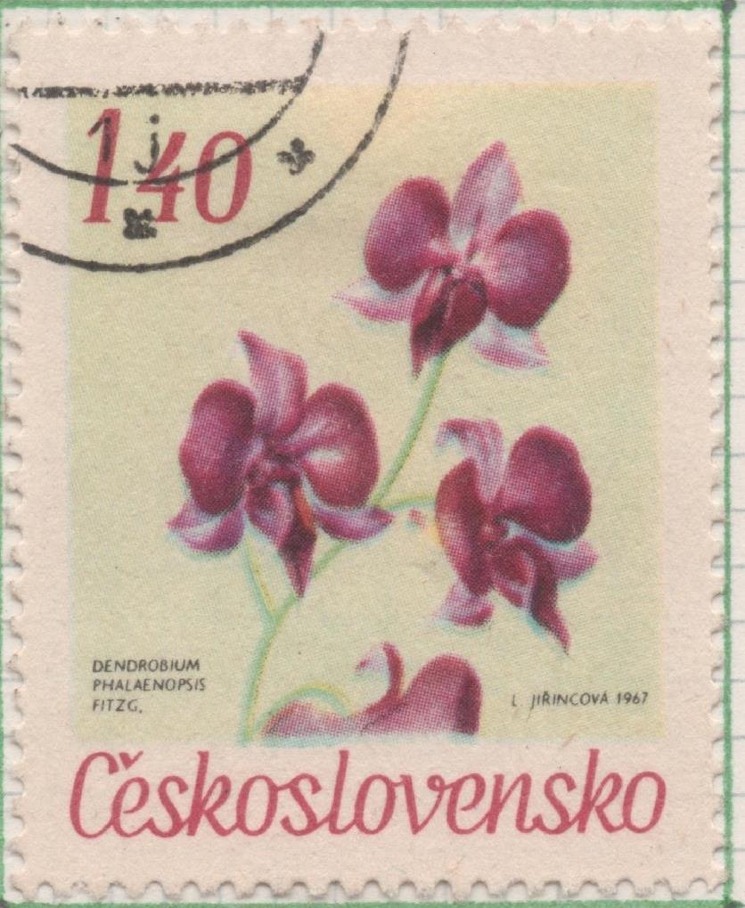 Sello E01441: hoja 92, Checoslovaquia: Sello Multicolor, dentado. Flores de jardines botánico. Dendrobium. Dendrobium phalaenopsis, 1,40 Koruna