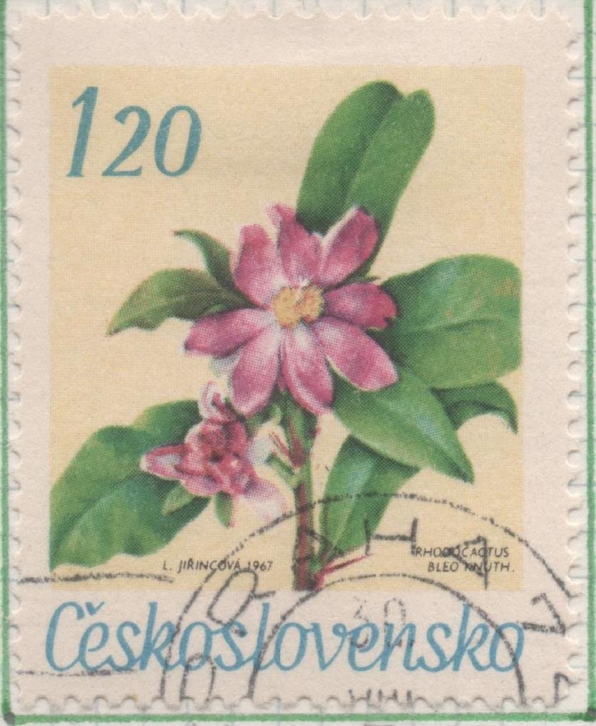 Sello E01440: hoja 92, Checoslovaquia: Sello Multicolor, dentado. Flores de jardines botanicos. Chupa melón. Rhodocactus bleo, 120 Koruna