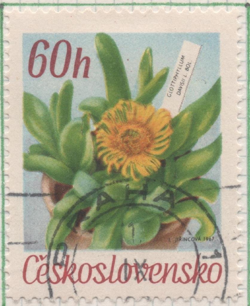 Sello E01438: hoja 92, Chescolovaquia: Sello Multicolor, dentado. Flores de jardines botánicos. Lengua larga. Glottiphyllum davisii, 60 Haleru