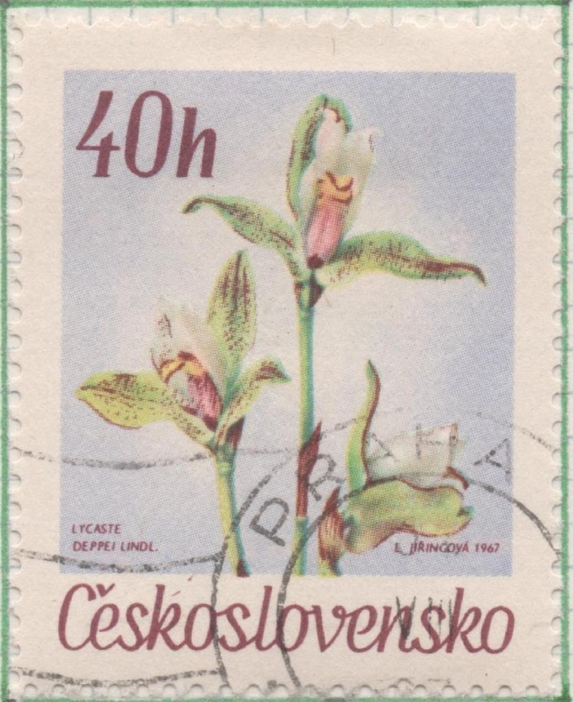 Sello E01437: hoja 92, Checoslovaquia: Sello Multicolor, dentado. Flores de jardines botánicos. Depia mexicana. Lycaste deppei, 40 Haleru