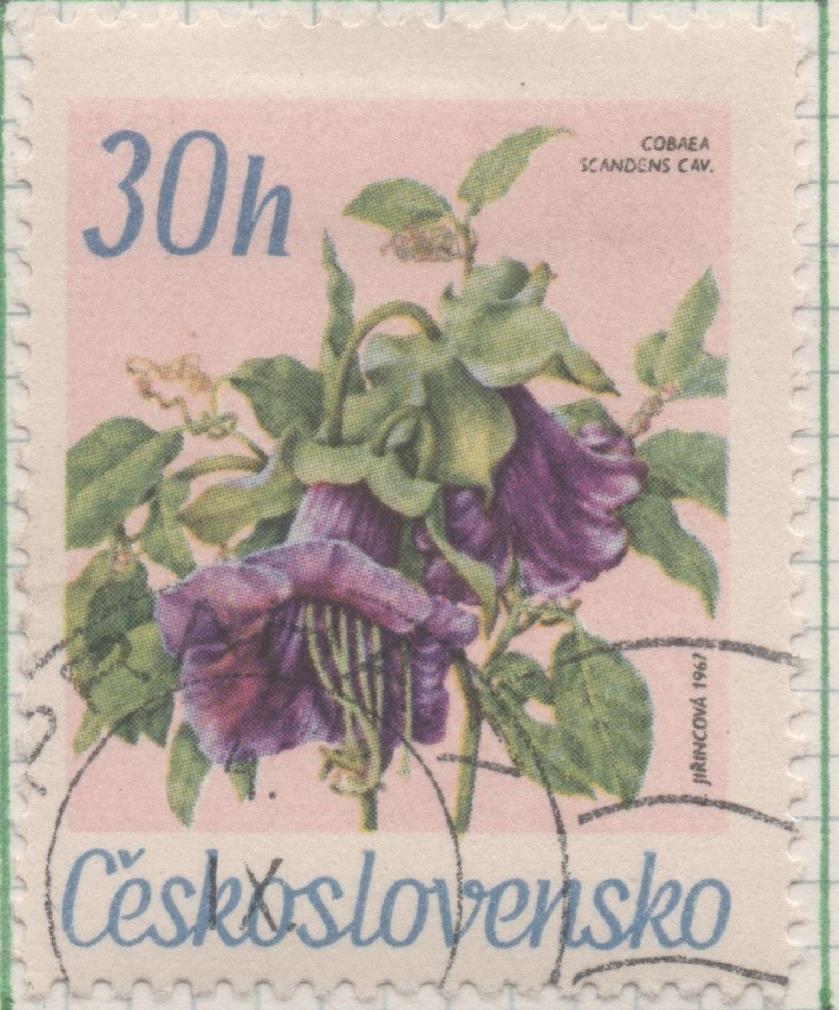 Sello E01436: hoja 92, Checoslovaquia: Sello Multicolor, dentado. Flores de jardines botánicos. Hiedra morada. Cobaea scandens, 30 Haleru