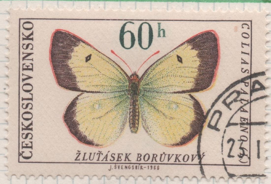 Sello E01359: hoja 87, Checoslovaquia: Sello Multicolor, dentado. Mariposas. Páramos amarillos nublados (Colias palaeno), 60 haleru