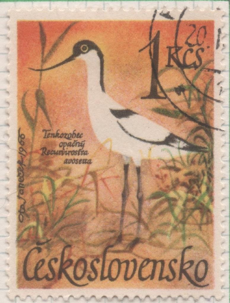 Sello E01397: hoja 89, Checoslovaquia: Sello Multicolor, dentado. Pajaros Acuaticos. Recurvirostra avosetta, 1 Koruna