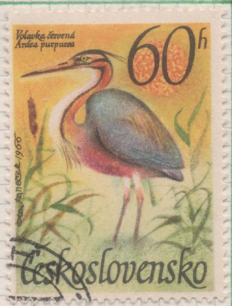 Sello E01395: hoja 89, Checoslovaquia: Sello Multicolor, dentado. Pajaros Acuaticos.  Ardea purpurea, 60 Haleru