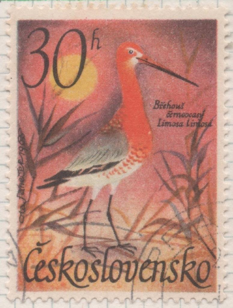 Sello E01394: hoja 89, Checoslovaquia: Sello Multicolor, dentado. Pajaros Acuaticos.  Limosa limosa, 30 Haleru