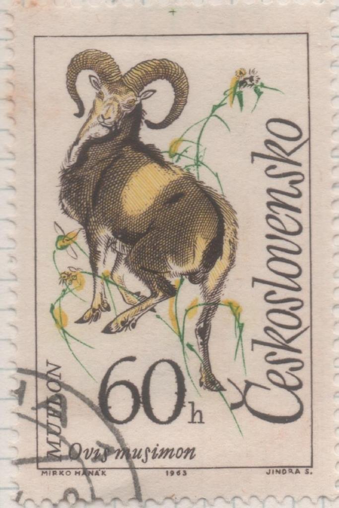 Sello E01160: hoja 76, Checoslovaquia: Sello Multicolor dentado. Animales del Monte Tatra. Ovis musimon, 60 Haleru