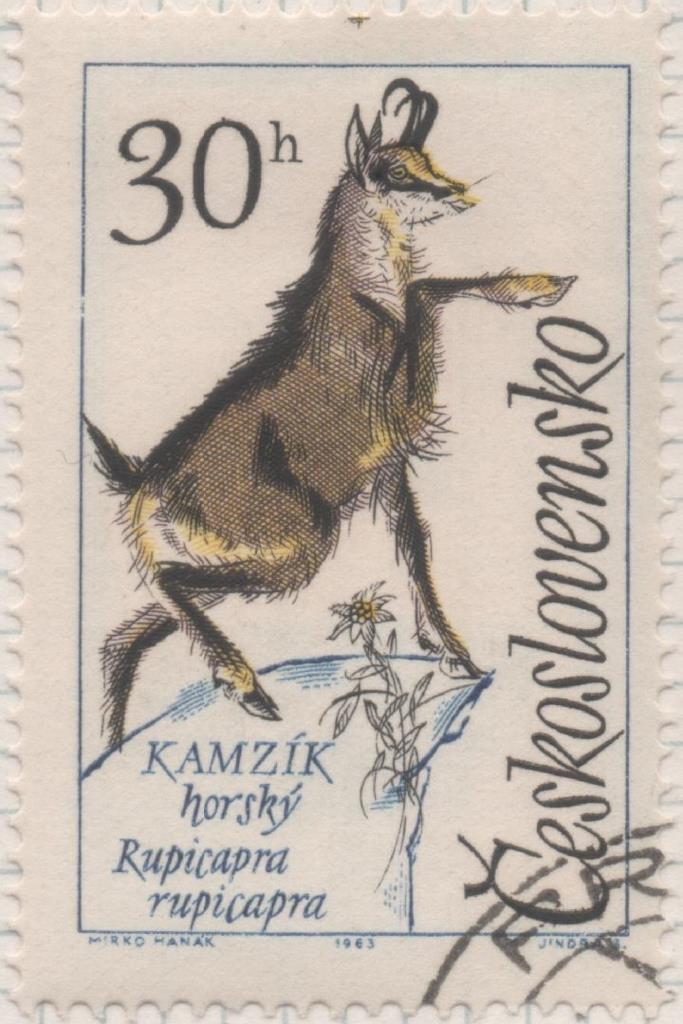 Sello E01158: hoja 76, Checoslovaquia: Sello Multicolor dentado. Animales del Monte Tatra. Rupicapra rupicapra, 30 Haleru