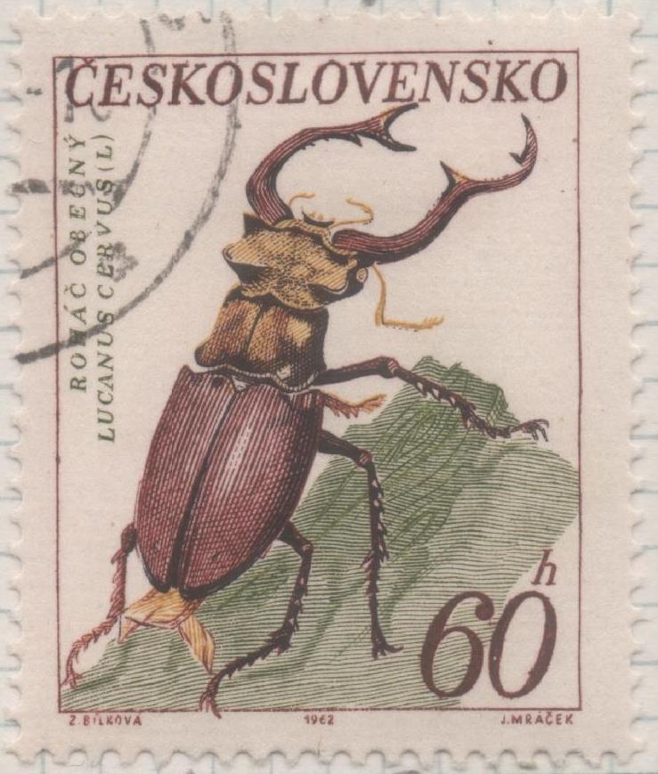 Sello E01106: hoja 73, Checoslovaquia: Sello Multicolor dentado. Escarabjos. Escarabajo Ciervo, 60 Haleru