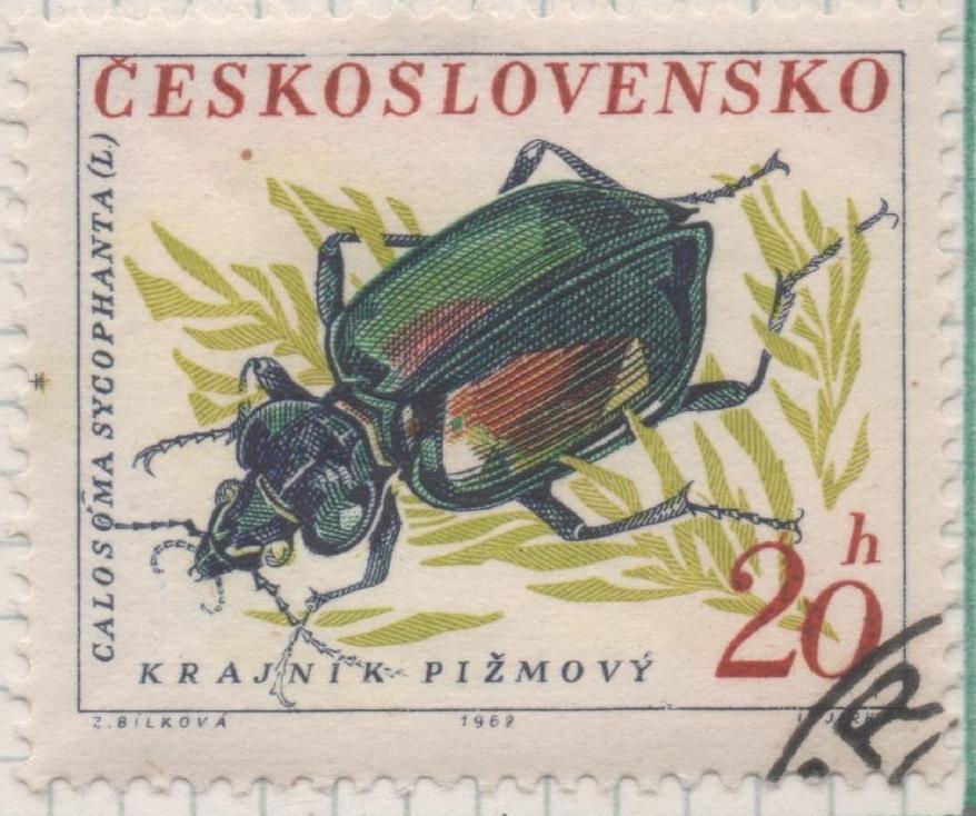 Sello E01103: hoja 73, Checoslovaquia: Sello Multicolor dentado. Escarabajos. Escarabajo Calosoma Europeo, 20 Haleru