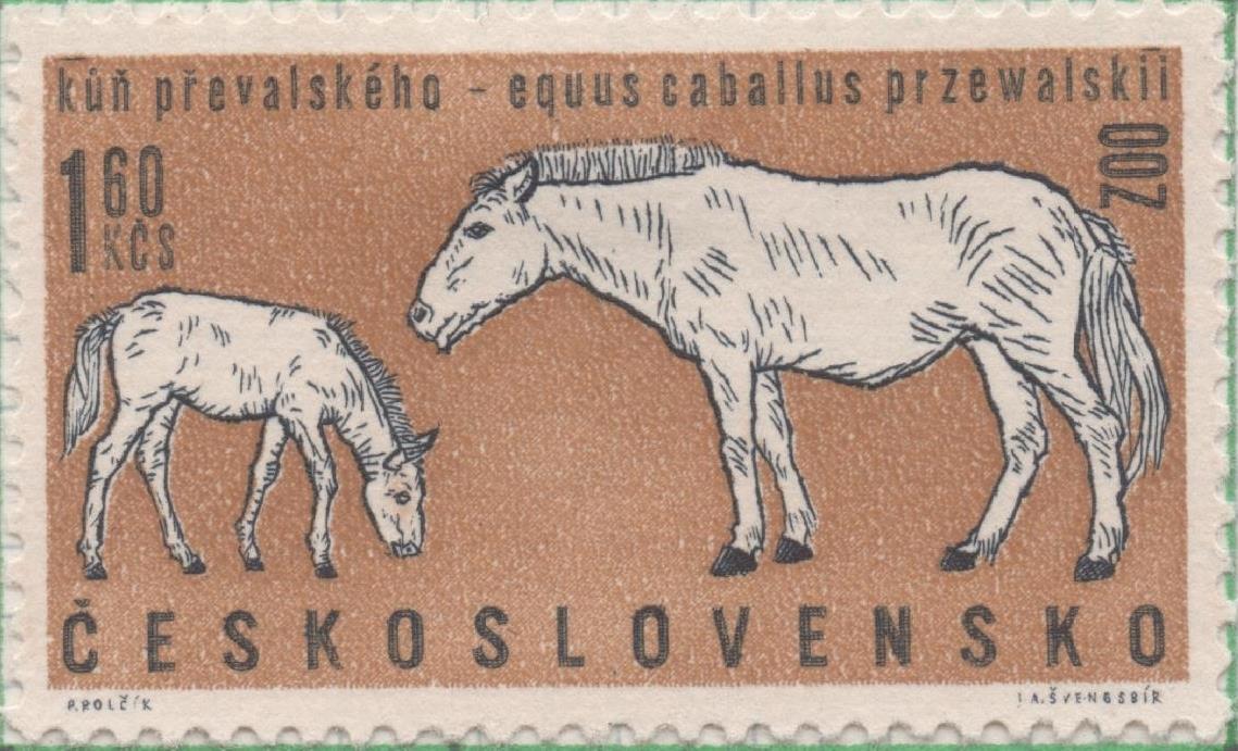 Sello E01083: hoja 71, Checoslovaquia: Sello Marron y blanco dentado. Aniversario del Zoo de Praga. Caballo de Przewalski, 1,60 Koruna