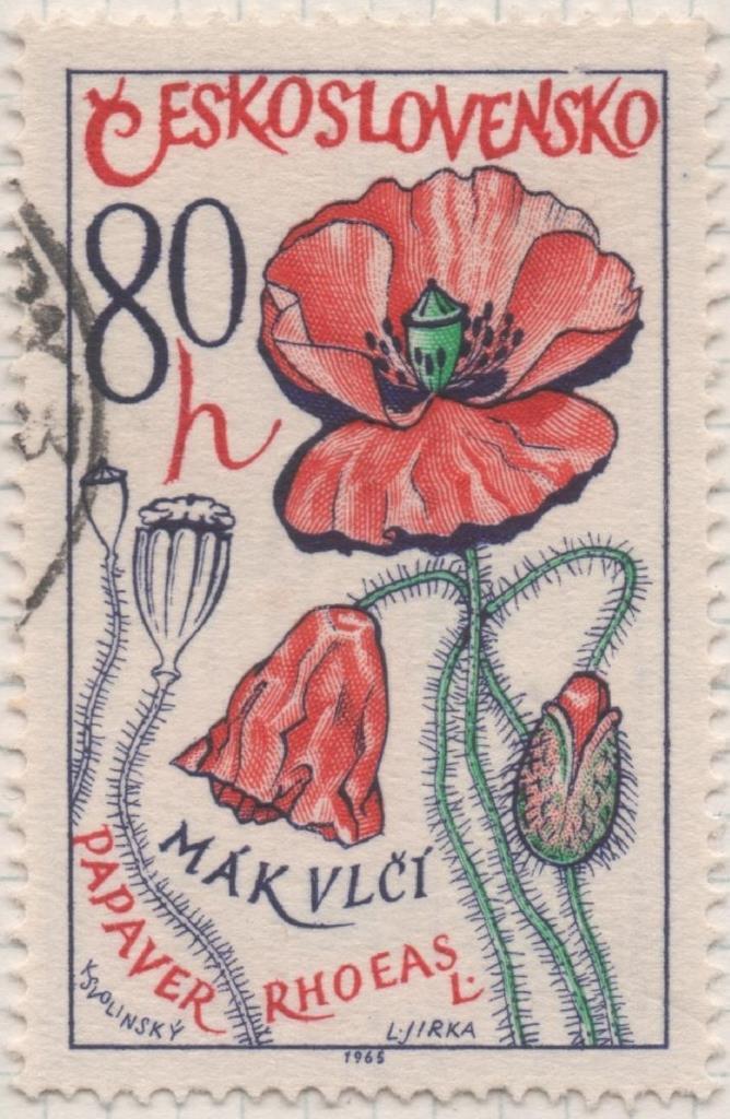 Sello E01311: hoja 84, Checoslovaquia: Sello Multicolor, dentado. Plantas medicionales. Amapola Común (Papaver rhoeas), 80 Haleru