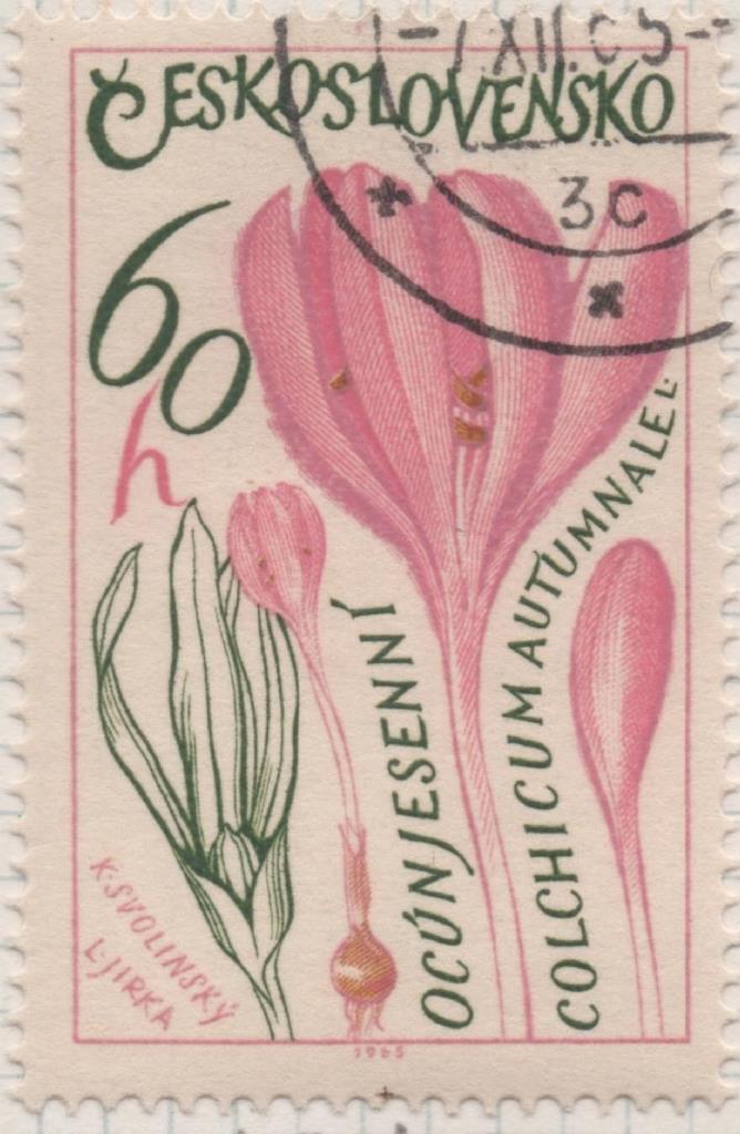Sello E01310: hoja 84, Checoslovaquia: Sello Multicolor, dentado. Plantas medicinales. Azafrán de pradera (Colchicum autumnale), 60 Haleru 