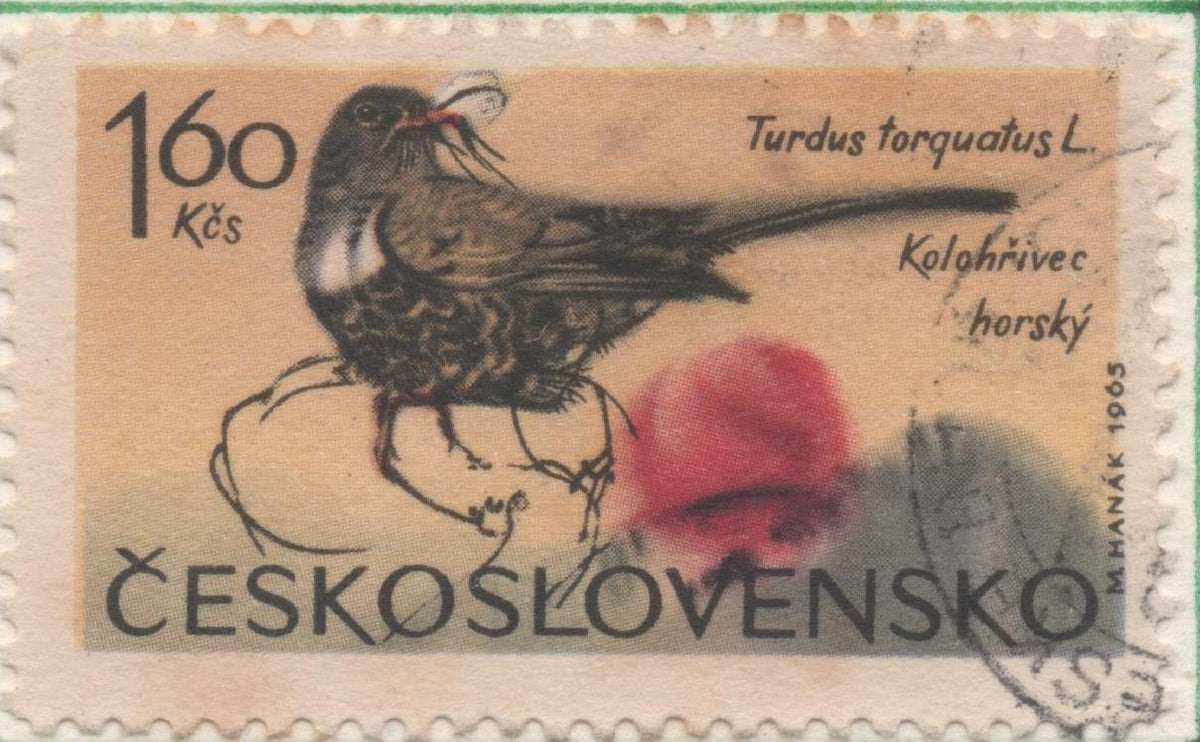 Sello E01296: hoja 83, Checoslovaquia: Sello Multicolor, dentado. Pajaros de las montañas.  Turdus torquatus, 1,60 Koruna