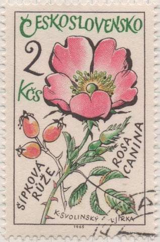 Sello E01315: hoja 84, Checoslovaquia: Sello Multicolr, dentado. Plantas medicinales. Escaramujo (Rosa canina), 2 Koruny
