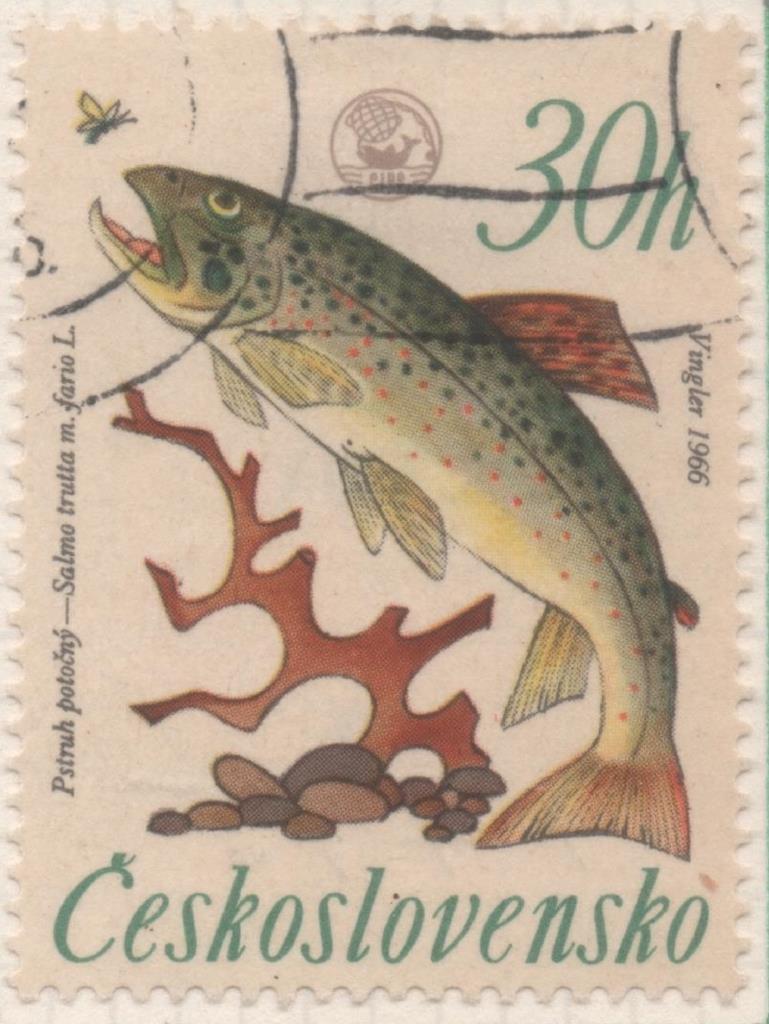 Sello E01336: hoja 85, Checoslovaquia: Sello Multicolor, dentado. Campeonatao de Pesca de Rivera. Trucha, 30 Haleru