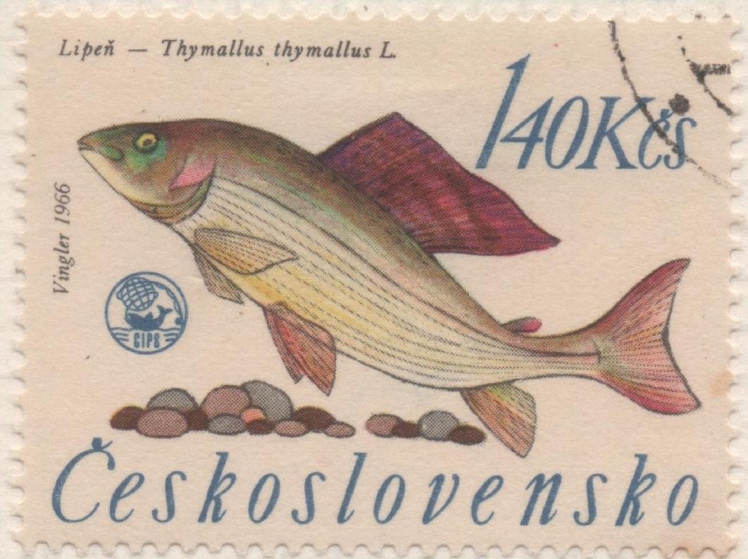 Sello E01335: hoja 85, Checoslovaquia: Sello Multicolor, dentado. Campeonato de Pesca de Rivera. Tímalo, 1,40 Koruna