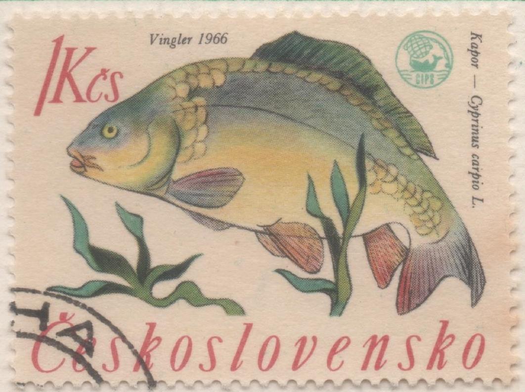 Sello E01333: hoja 85, Checoslovaquia: Sello Multicolor, dentado. Campeonato de Pesca de Rivera. Carpa, 1 Koruna
