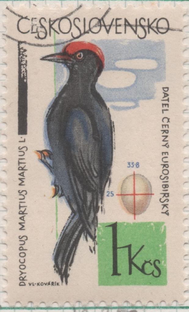 Sello E01226: hoja 80, Checoslovaquia: Sello Multicolor, dentado. Pajaros. Dryocopus martius, 1 Koruna