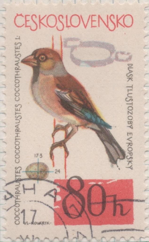 Sello E01225: hoja 80, Checoslovaquia: Sello Multicolor, dentado. Pajaros. Coccothraustes coccothraustes, 80 Haleru