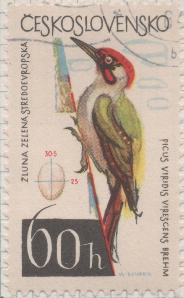 Sello E01224: hoja 80, Checoslovaquia: Sello Multicolor, dentado. Pajaros. Picus viridis, 60 Haleru