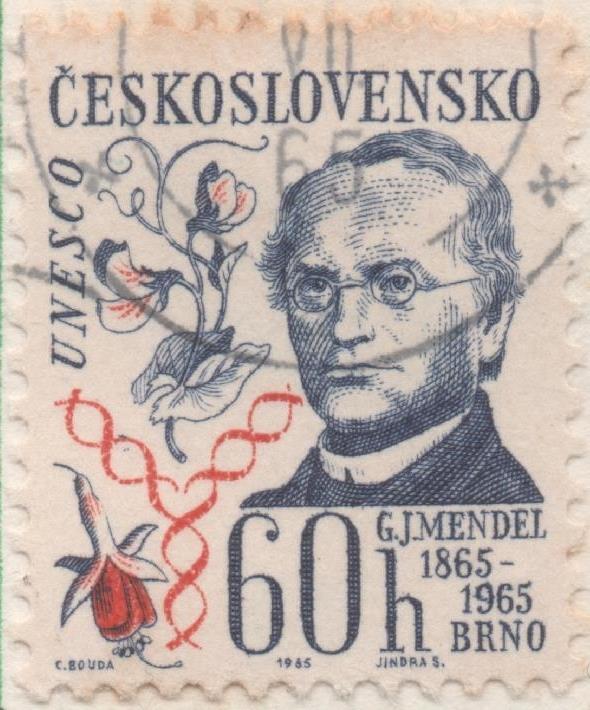 Sello E01279: hoja 83, Checoslovaquia: Sello Azul y rojo, dentado. J Mendel, 60 Haleru