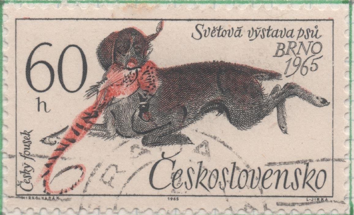 Sello E01268: hoja 82, Checoslovaquia: Sello Multicolor, dentado. Exposición Canina. Fousek checo - Exposición mundial de perros, Brno, 60 Haleru 