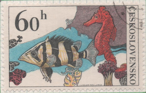 Sello E01925: hoja 127, Checoslovaquia: Sello multicolor, dentado. Peces de Acuario. Pez Tigre y Caballito de Mar, 60 Haleru