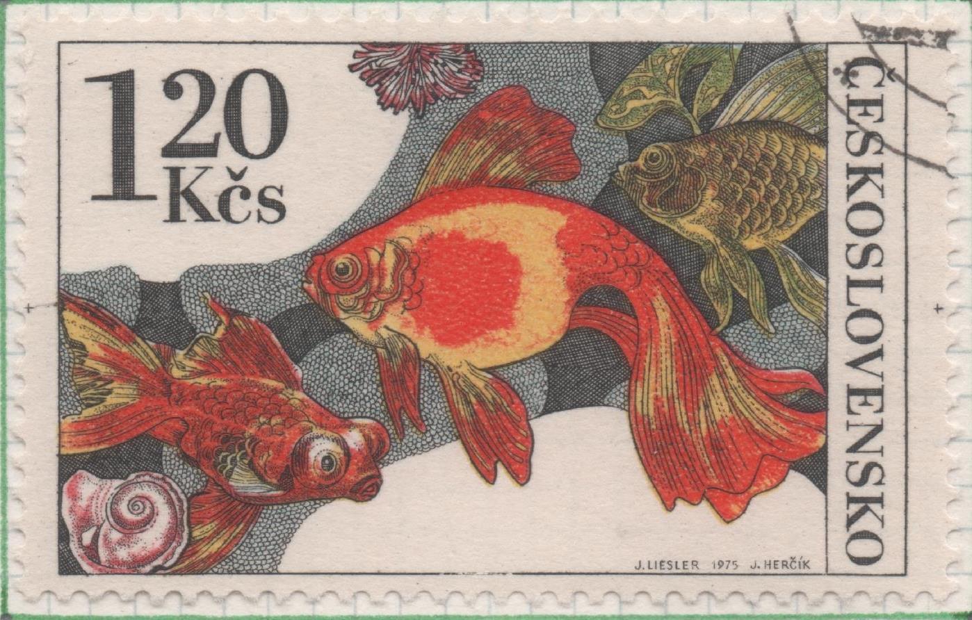 Sello E01927: hoja 127, Checoslovaquia: Sello Multicolor, dentado. Peces de Acuario. Pez Dorado, 1,20 Koruna
