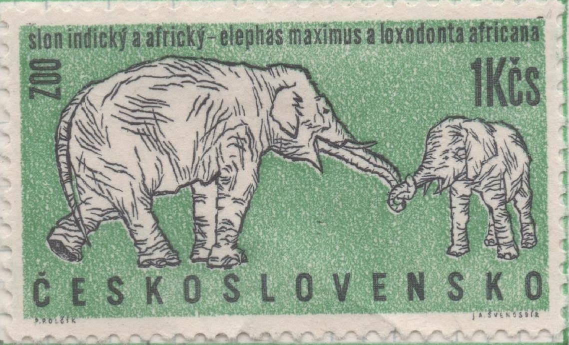 Sello E01082: hoja 71, Checoslovaquia: Sello Verde y blanco dentado. Aniversario del Zoo de Praga. Elefantes, 1 Koruna