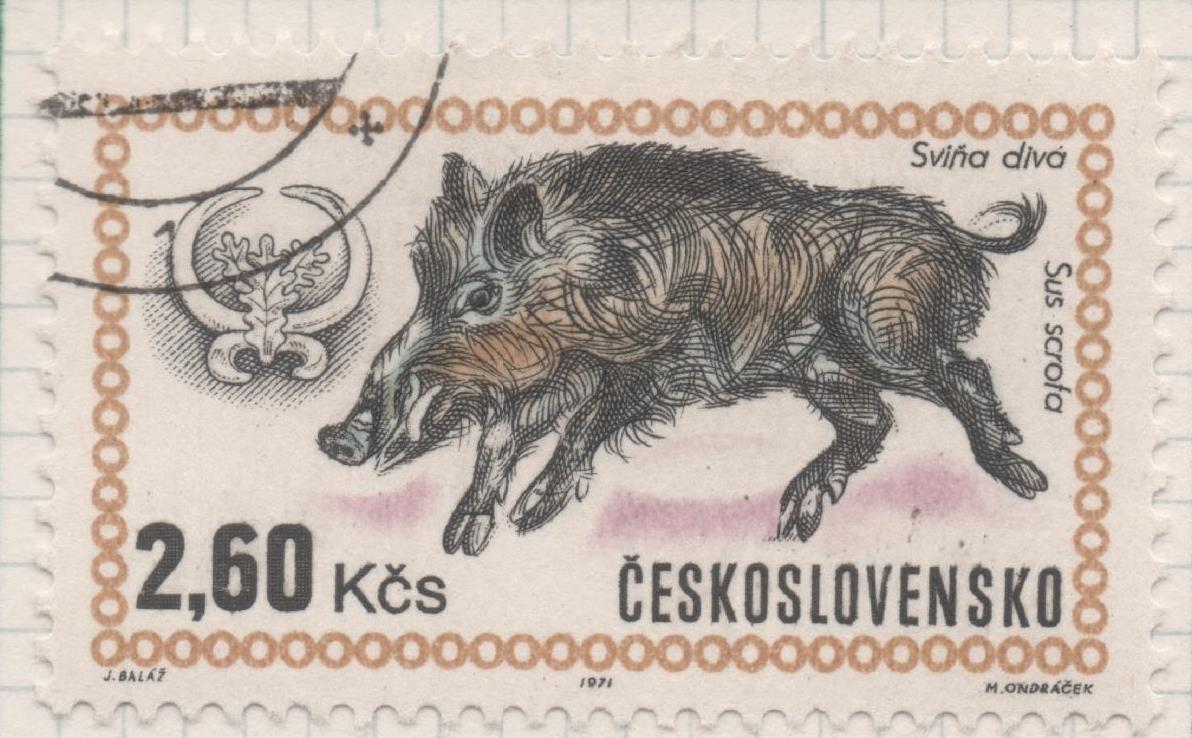 Sello E01702: hoja 110, Checoslovaquia: Sello Multicolor, dentado. Exposición Mundial de caza. Jabalí. Sus scrofa, 2,60 Koryny