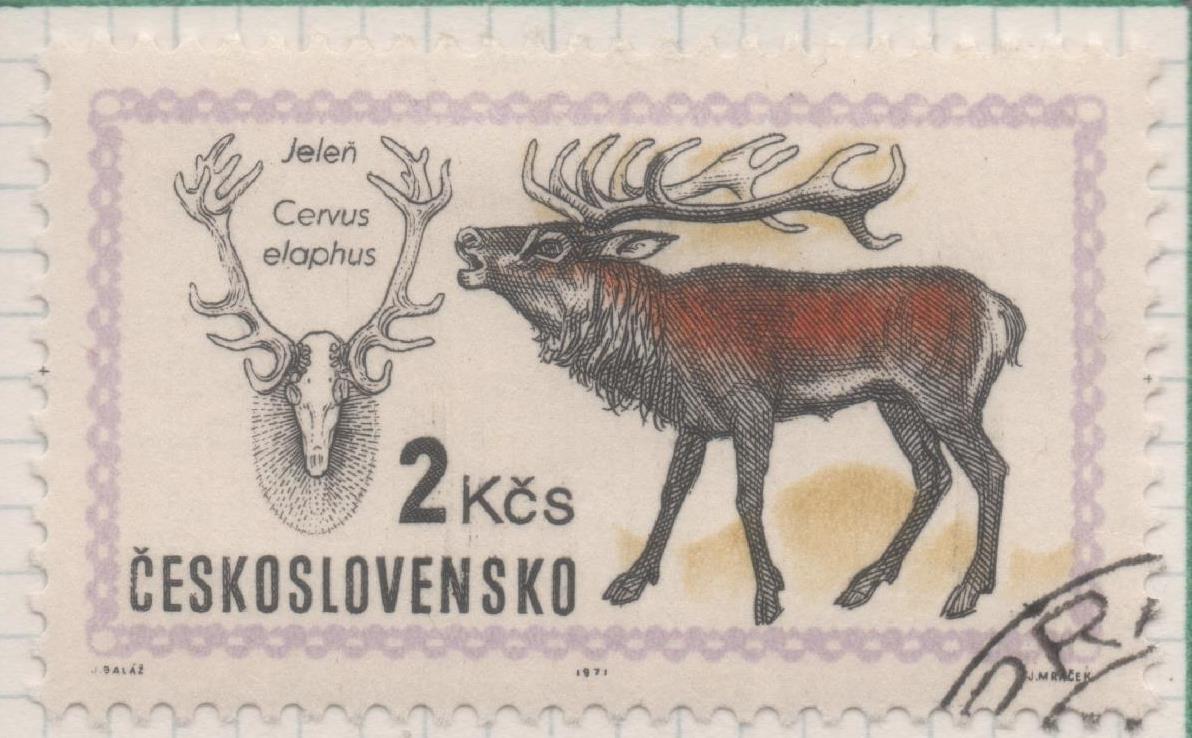 Sello E01701: hoja 110, Checoslovaquia: Sello Multicolor, dentado. Exposición Mundial de Caza. Budapest. Ciervo. Cervus elaphus, 2 Koruny