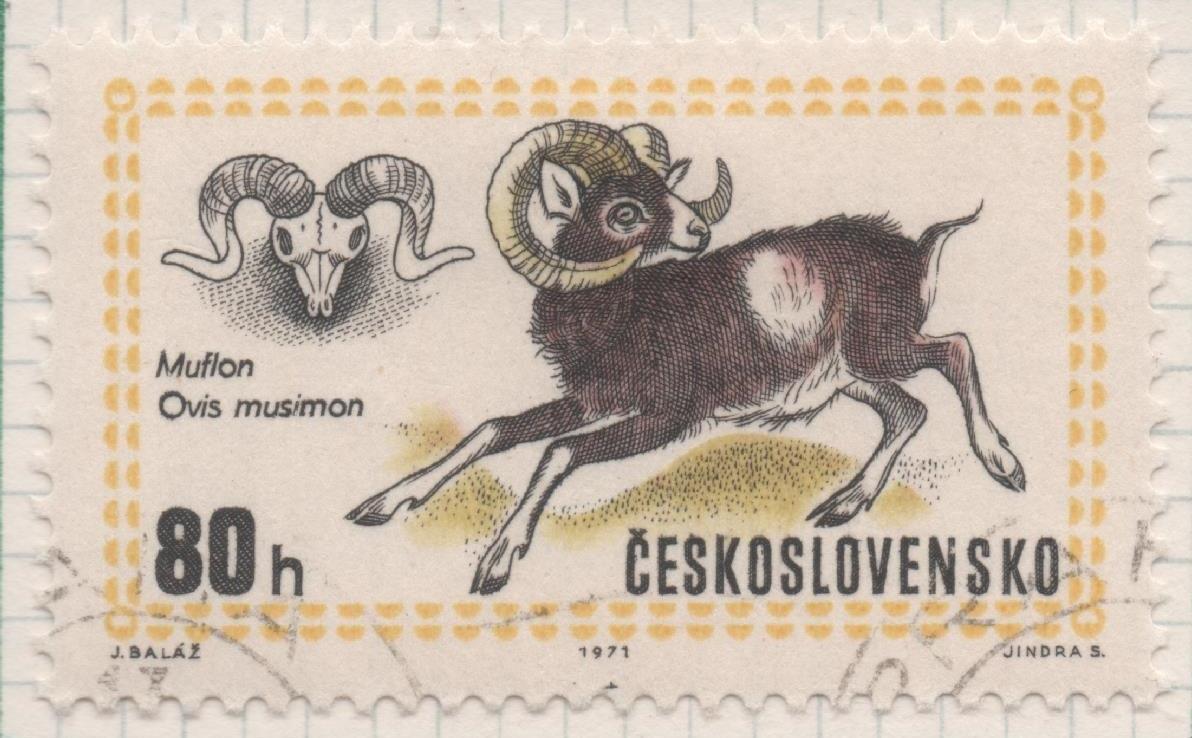 Sello E01699: hoja 110, Checoslovaquia: Sello Multicolor, detnado. Exposición Mundial de Caza. Budapest. Muflón. Ovis orientalis musimon, 80 Haleru