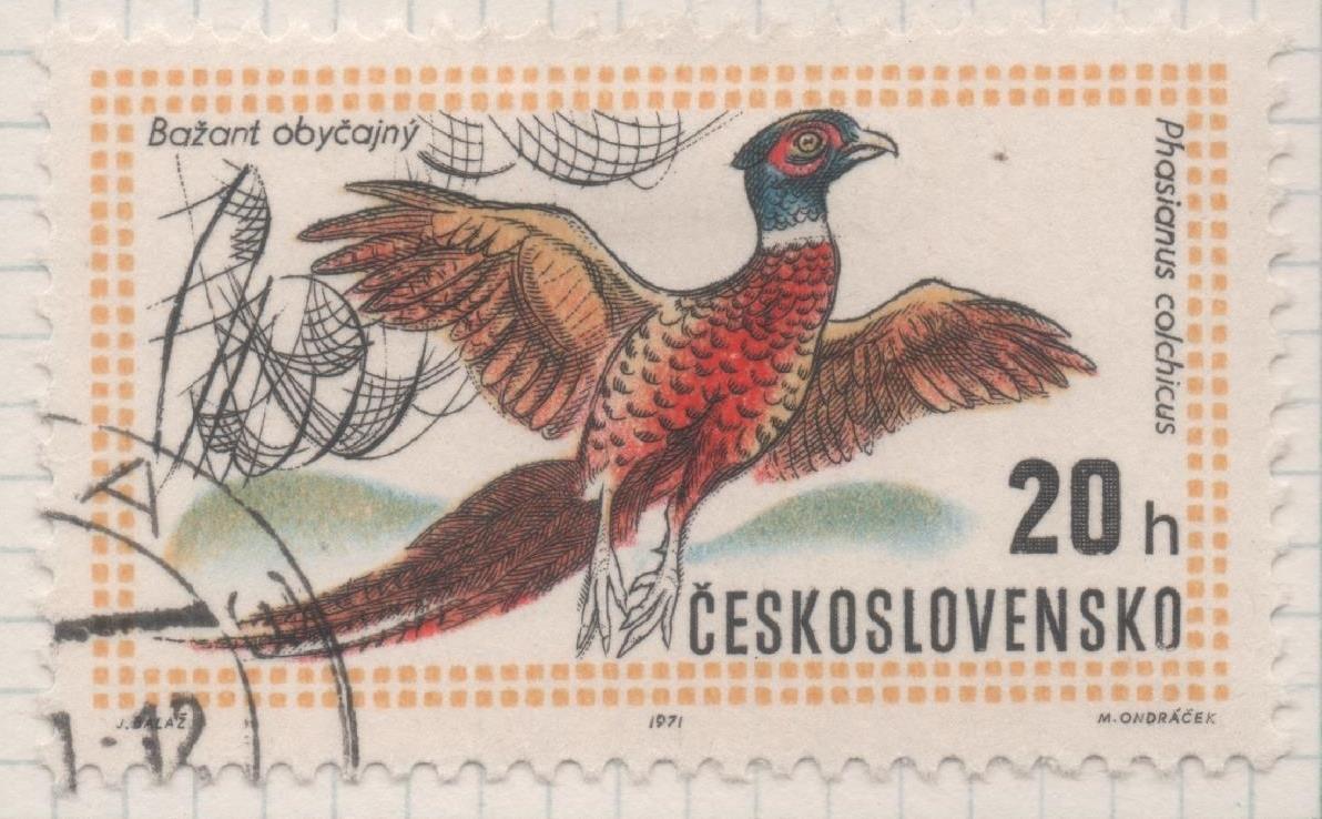 Sello E01697: hoja 110, Checoslovaquia: Sello Multicolor, dentado Exposición Mundial de Caza. Budapest. Faisán. Phasianus colchicus, 20 haleru