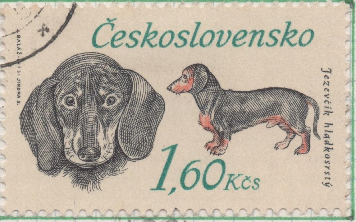 Sello E01834: hoja 120, Checoslovaquia: Sello Gris y naranja, dentado. 50 Aniv. Sociedad Nacional de Perros de Caza. Dachshund, 1,60 Koruna