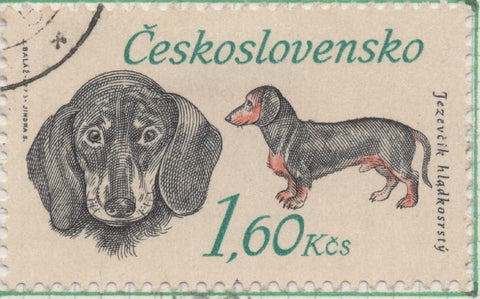 Sello E01834: hoja 120, Checoslovaquia: Sello Gris y naranja, dentado. 50 Aniv. Sociedad Nacional de Perros de Caza. Dachshund, 1,60 Koruna