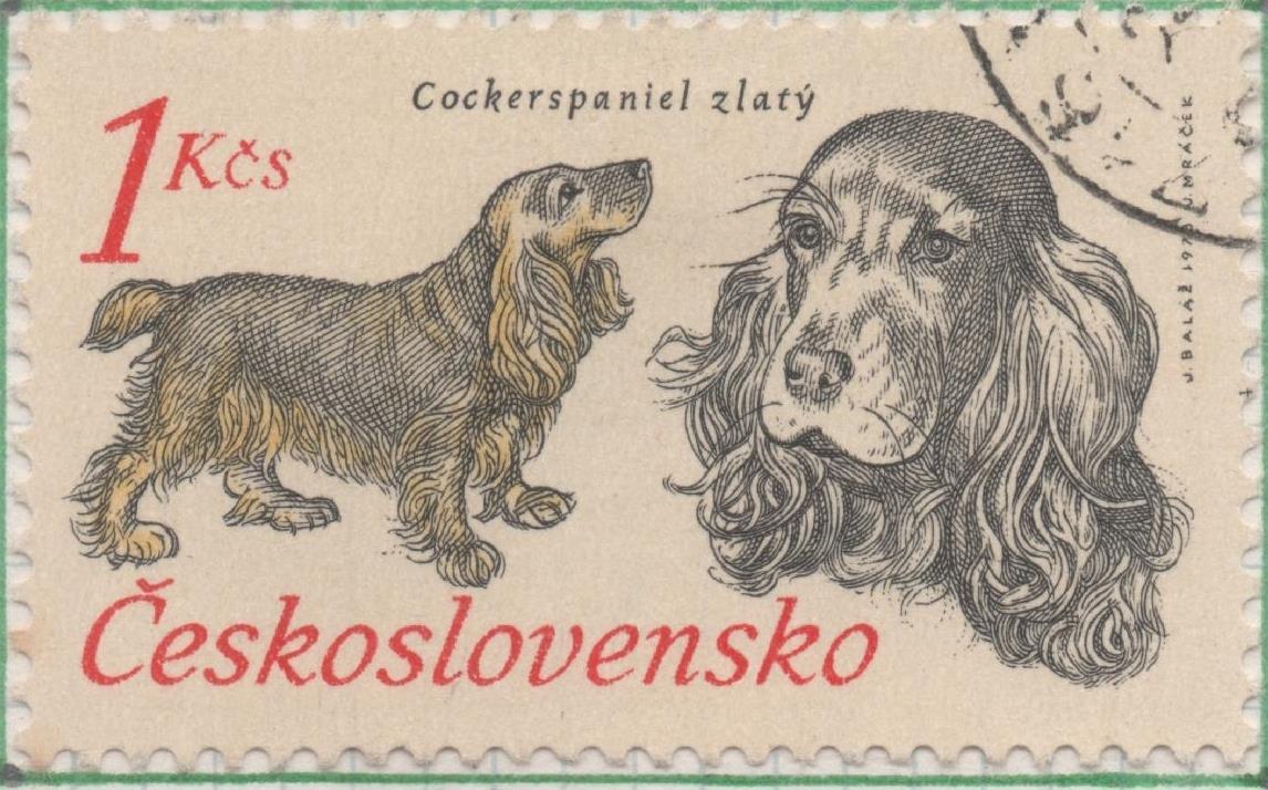 Sello E01833: hoja 120, Checoslovaquia: Sello Gris y amarillo, dentado. 50 Aniv. Sociedad Nacional de Perros de Caza. Cocker Spaniel Dorado, 1 Koruna