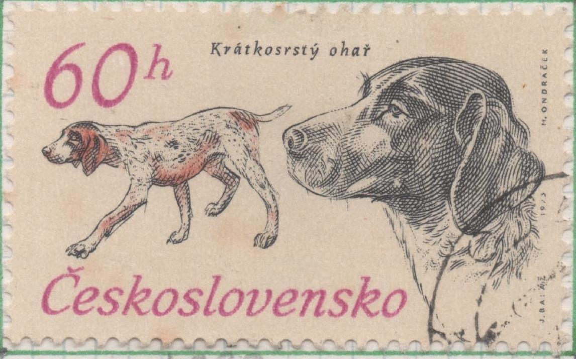 Sello E01832: hoja 120, Checoslovaquia: Sello Multicolor, dentado. 50 Aniv. Sociedad Nacional de Perros de Caza. Pointer alemán de cola corta, 60 Haleru