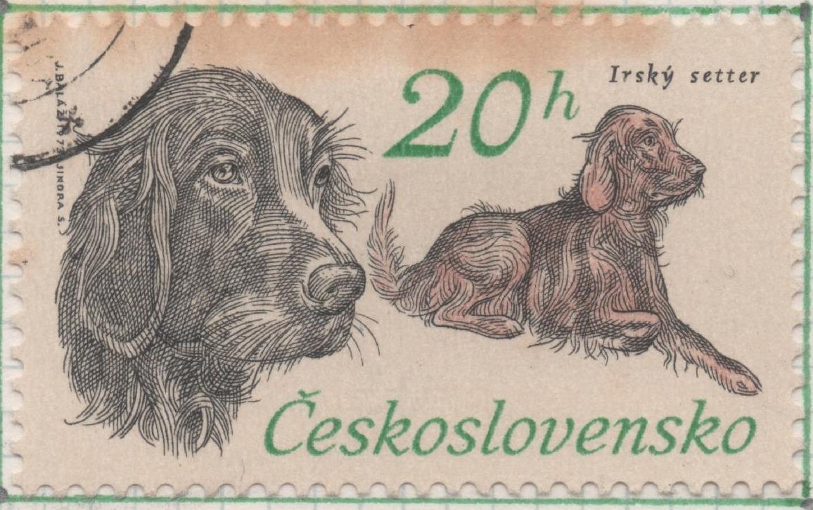 Sello E01829: hoja 120, Checoslovaquia: Sello Gris y marron, dentado. 50 Aniv.Sociedad Nacional de Perros de Caza. Setter irlandés, 20 Haleru
