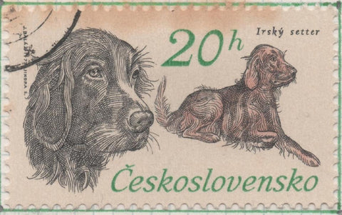 Sello E01829: hoja 120, Checoslovaquia: Sello Gris y marron, dentado. 50 Aniv.Sociedad Nacional de Perros de Caza. Setter irlandés, 20 Haleru