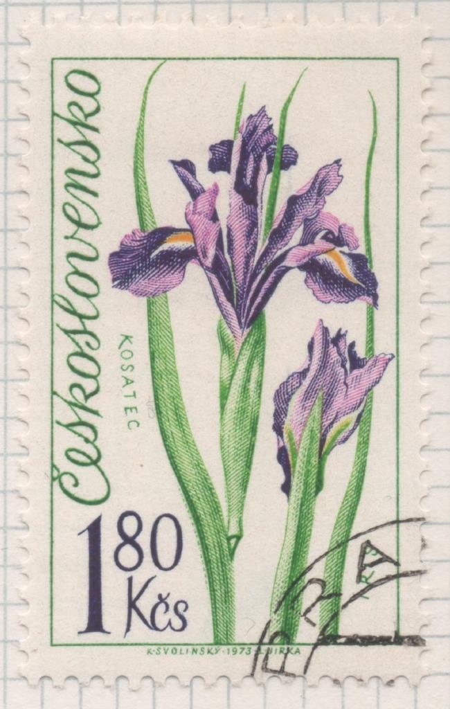 Sello E01826: hoja 119, Checoslovaquia: Sello Lila, verde y amarillo, dentado. Exposición Floral de Olomouc. Iris, 1,80 Koruna
