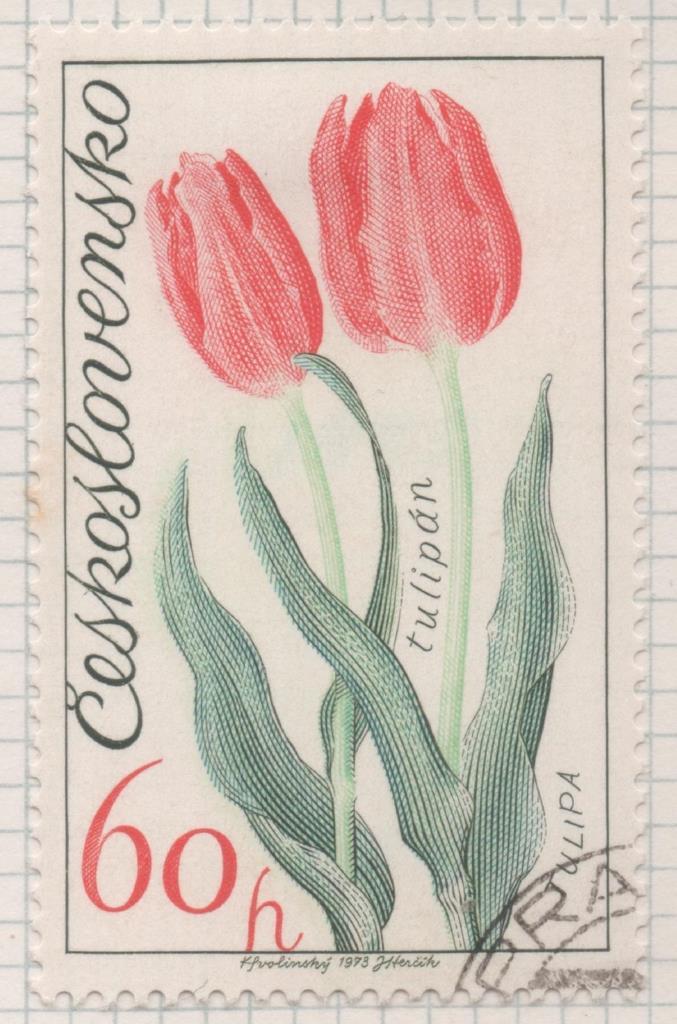 Sello E01822: hoja 119, Checoslovaquia: Sello Rojo y verde, dentado. Exposición Floral de Olomouc. Tulipán, 60 Haleru